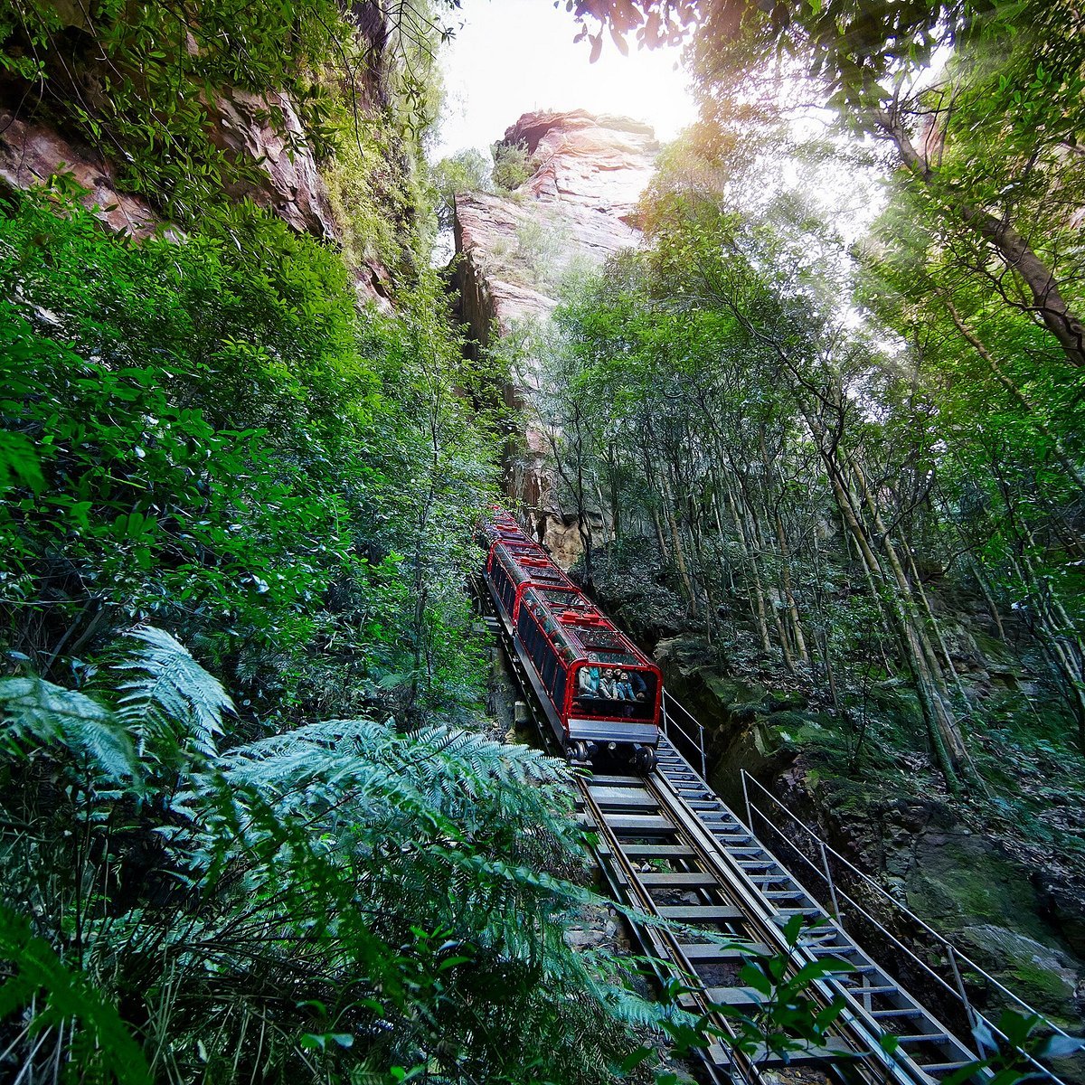 시닉 레일웨이 (Scenic Railway)